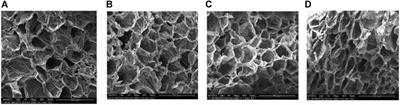 Shrinkage properties of porous materials during drying: a review